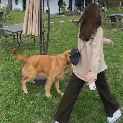 恶人谷
